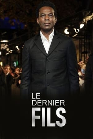 Poster Le dernier fils (1998)