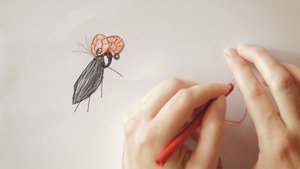 Mr Mosquito