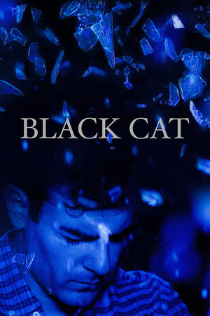 Poster Black Cat (2017)