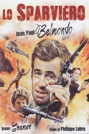 Poster Lo sparviero 1976
