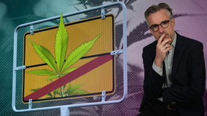 6. Legalizar el cannabis: ¿una buena idea?