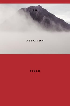 Poster An Aviation Field 2016