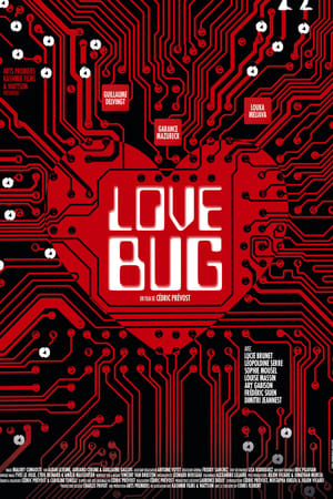Image Love Bug