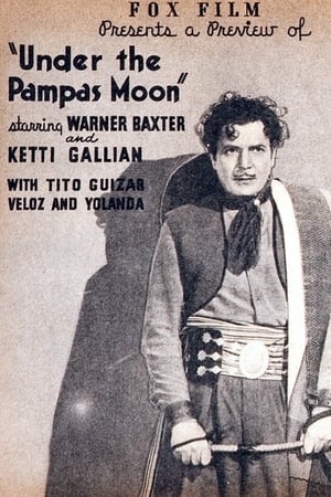 Under the Pampas Moon poster