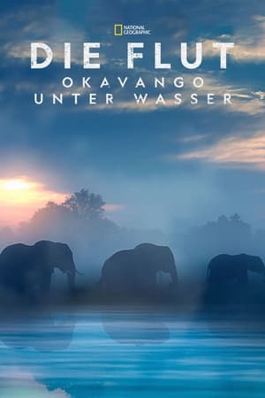 Poster Die Flut - Okavango unter Wasser 2018