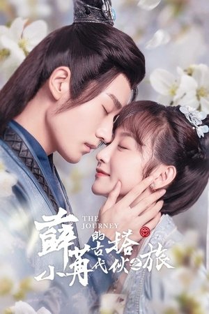 Affiche de 薛小冉的古代搭伙之旅