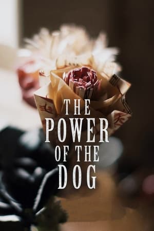poster The Power of the Dog