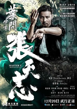 Image Ip Man: Cheung Tin Chi