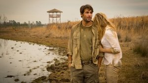 Zoo TV Series | Where to watch?