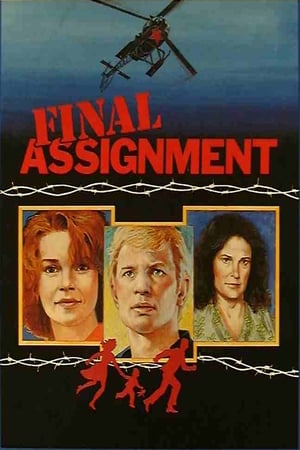 Poster Final Assignment 1980