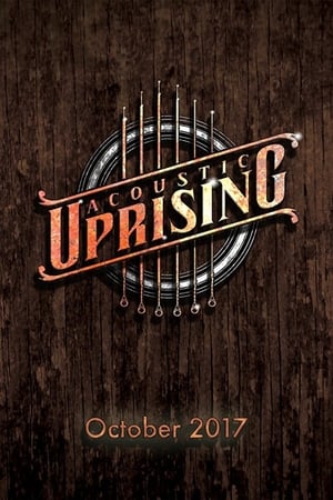 Poster Acoustic Uprising (2017)