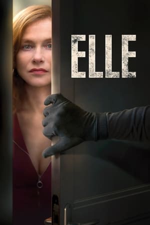 Poster O Kadın elle 2016