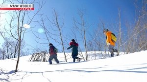 Journeys in Japan: 14×7