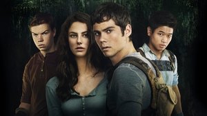 The Maze Runner (2014) Sinhala Subtitle | සිංහල උපසිරැසි සමඟ