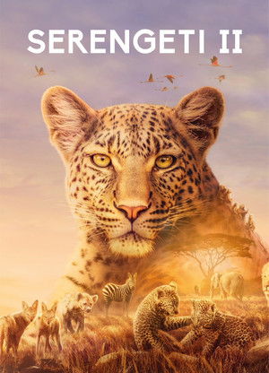 Serengeti: Staffel 2