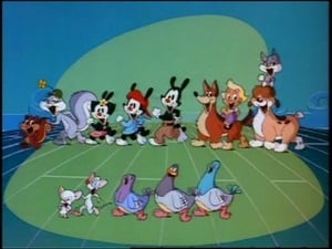 Animaniacs Smitten With Kittens