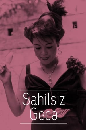 Image Sahilsiz Gecə