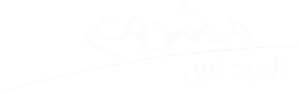 Shin's Project — Logos 2