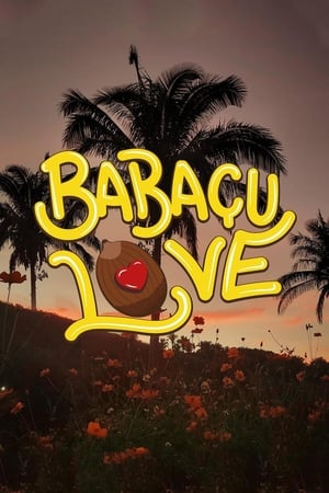 Image Babaçu Love