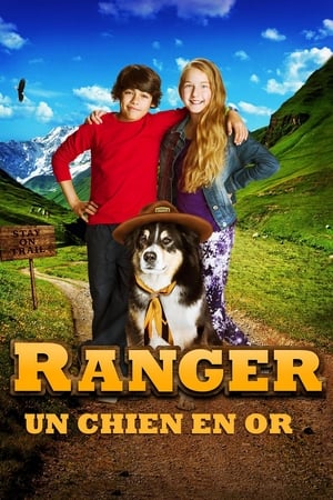 Image Ranger, un chien en or