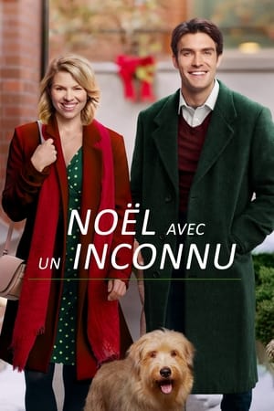 Image Noël avec un inconnu