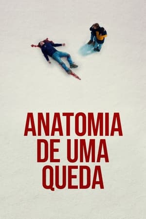 Anatomia de Uma Queda