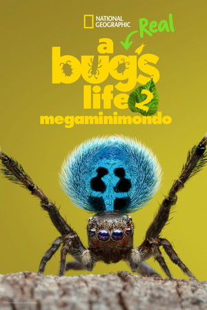 A Real Bug's Life - Megaminimondo: Stagione 2