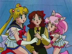 Sailor Moon Catch Pegasus! The Amazon’s Trap