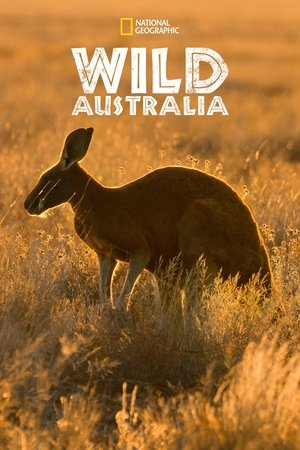 Image Divoká Austrálie