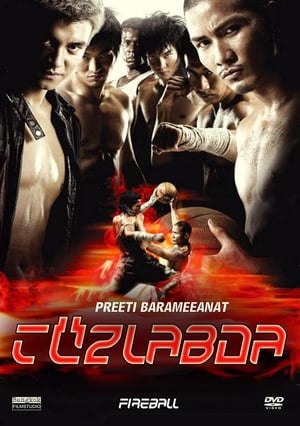 Poster Tűzlabda 2009