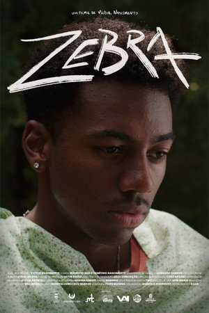 Zebra 2