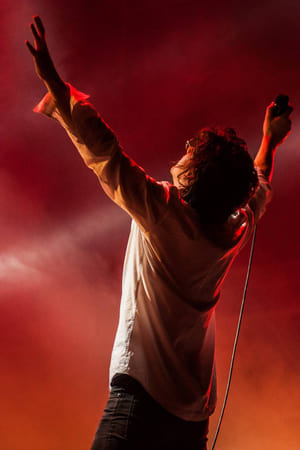 Image The Last Shadow Puppets at Sziget Festival