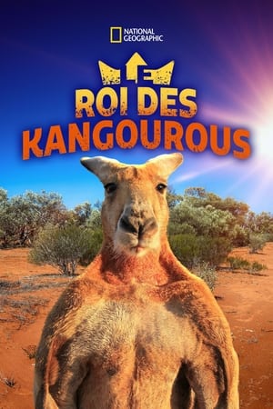 Le roi des kangourous 2015