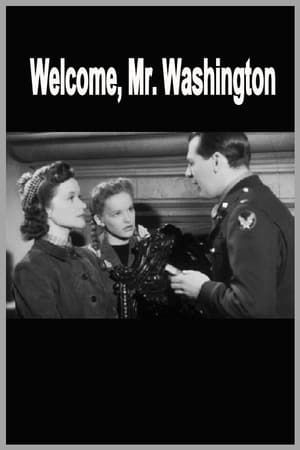 Image Welcome, Mr Washington