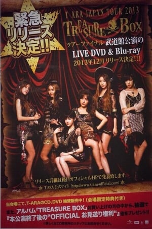 Poster T-ARA Japan Tour 2013 - Treasure Box- 2nd TOUR FINAL In Budokan 2013