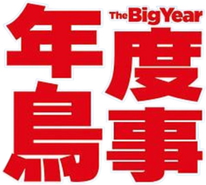 The Big Year — Logos 7