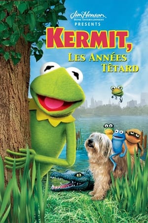 Poster Kermit, les années têtard 2002
