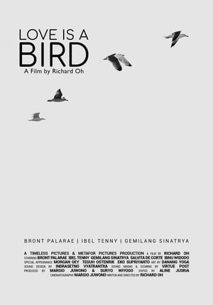 Poster Love is A Bird 2019