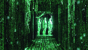 The Matrix (1999) Hindi Dubbed