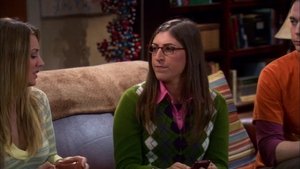 The Big Bang Theory Season 5 Episode 8