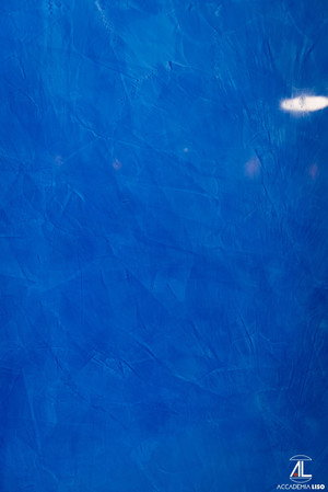 Blu (2026)
