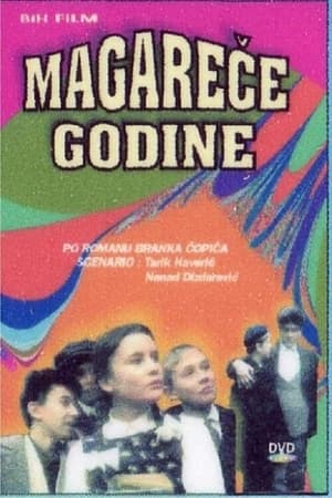 Magareće godine 1994