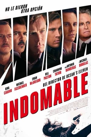 Poster Indomable 2011