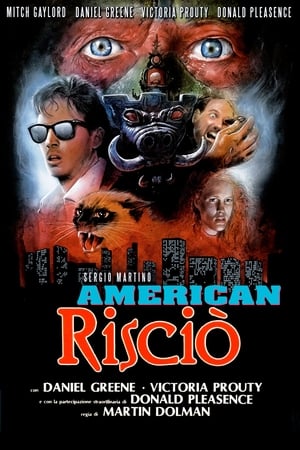 Poster American risciò 1989