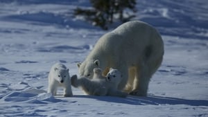 Le Canada Grandeur Nature film complet