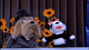 Just Shoot Me – Redaktion durchgeknipst: 3×7