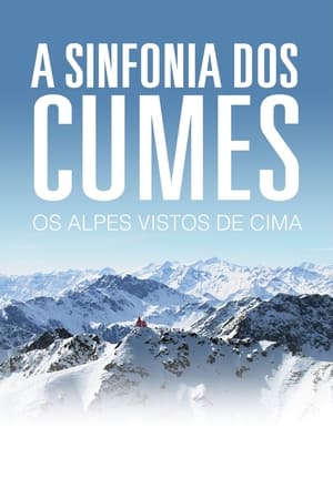 Poster Die Alpen - Unsere Berge von oben 2013