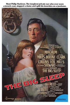 Click for trailer, plot details and rating of The Big Sleep (1978)