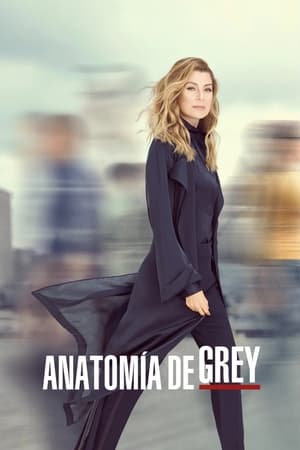 Anatomía de Grey: Temporada 16