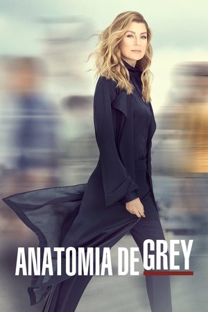 poster Grey's Anatomy